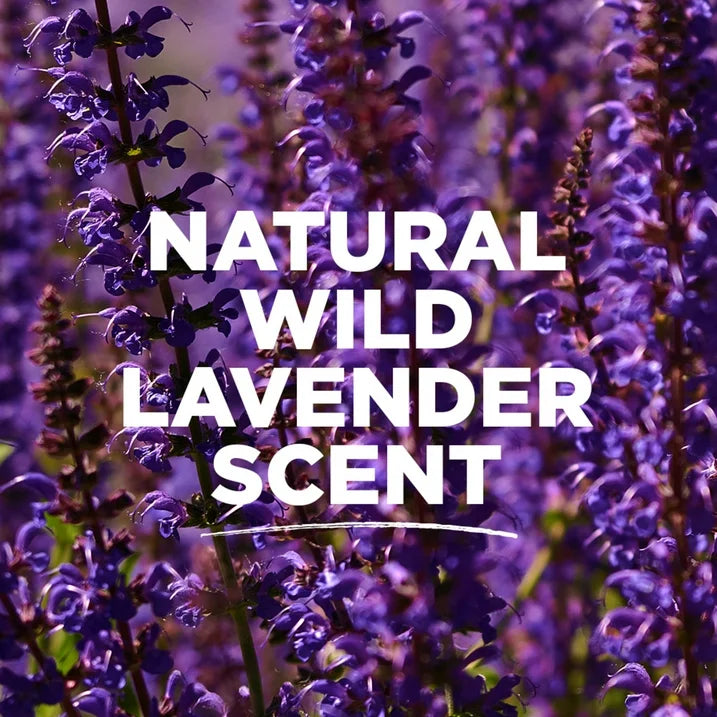 Tom's of Maine Natural Deodorant, Wild Lavender, 2.25 oz